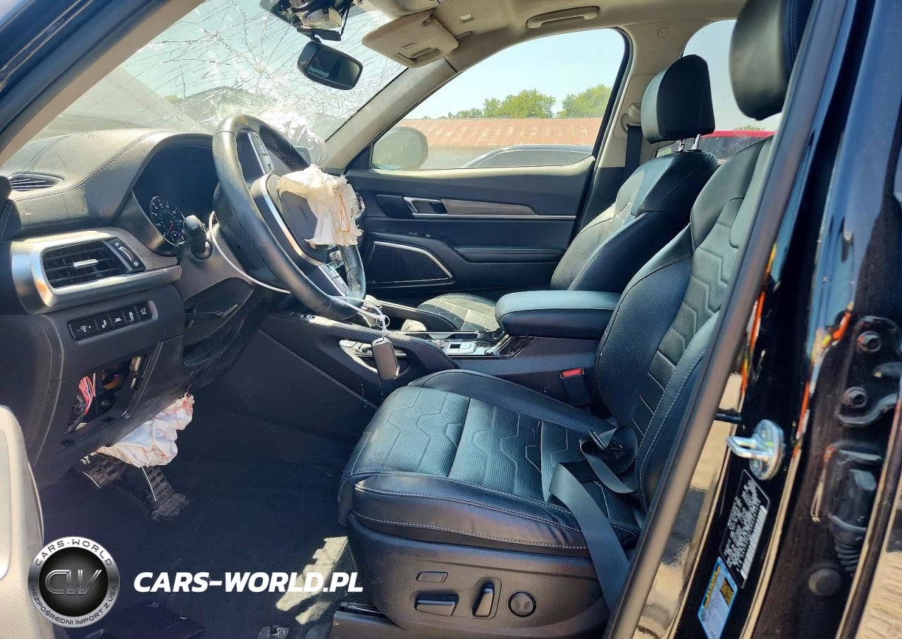 2022 Kia Telluride Sx VIN:5XYP5DHC5NG297256 - 7