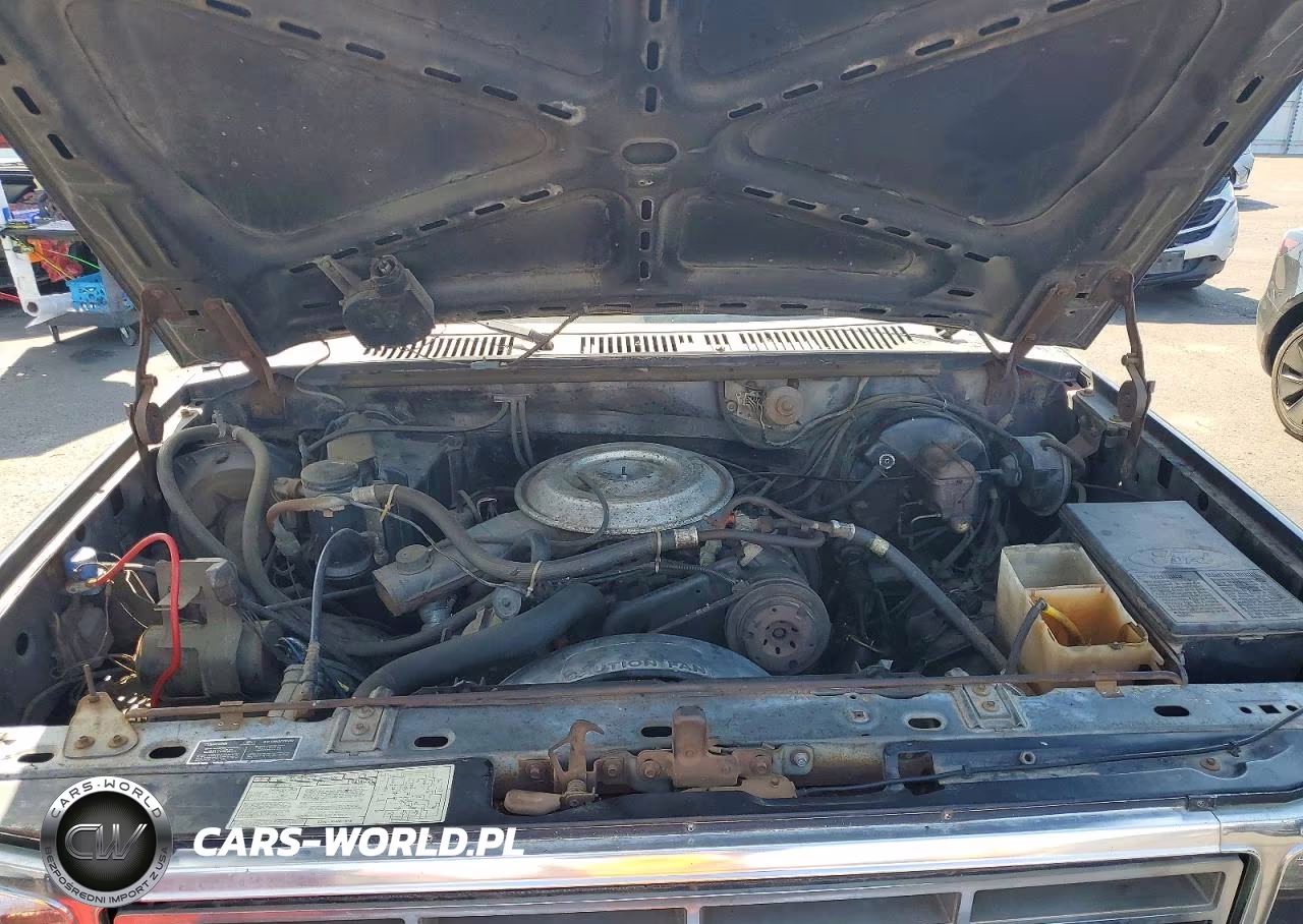 1982 Ford Bronco U100 VIN:1FMEU15G0CLA58520 - 12