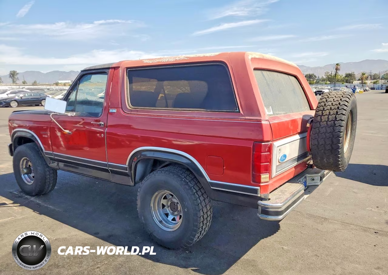 1982 Ford Bronco U100 VIN:1FMEU15G0CLA58520 - 2