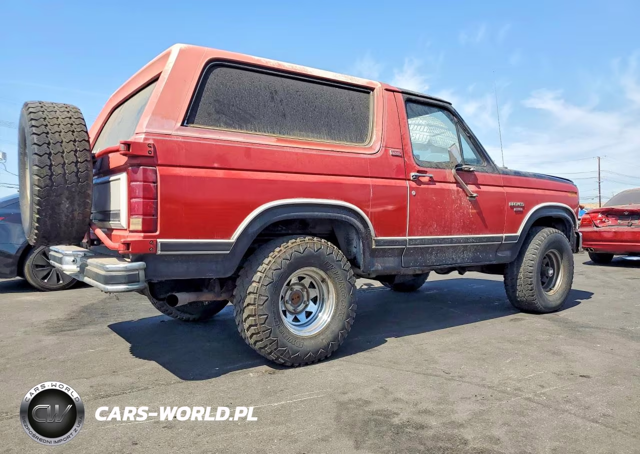 1982 Ford Bronco U100 VIN:1FMEU15G0CLA58520 - 3