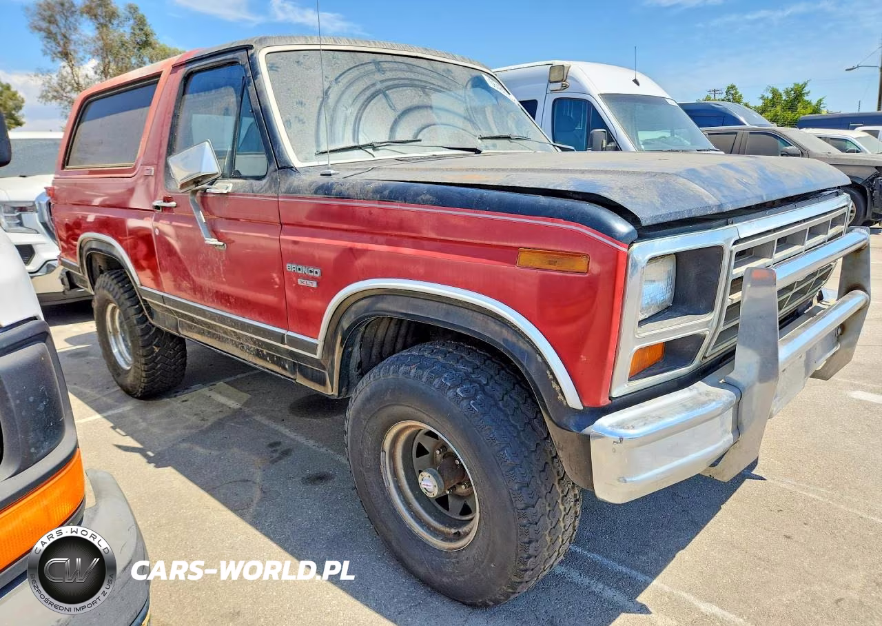 1982 Ford Bronco U100 VIN:1FMEU15G0CLA58520 - 4