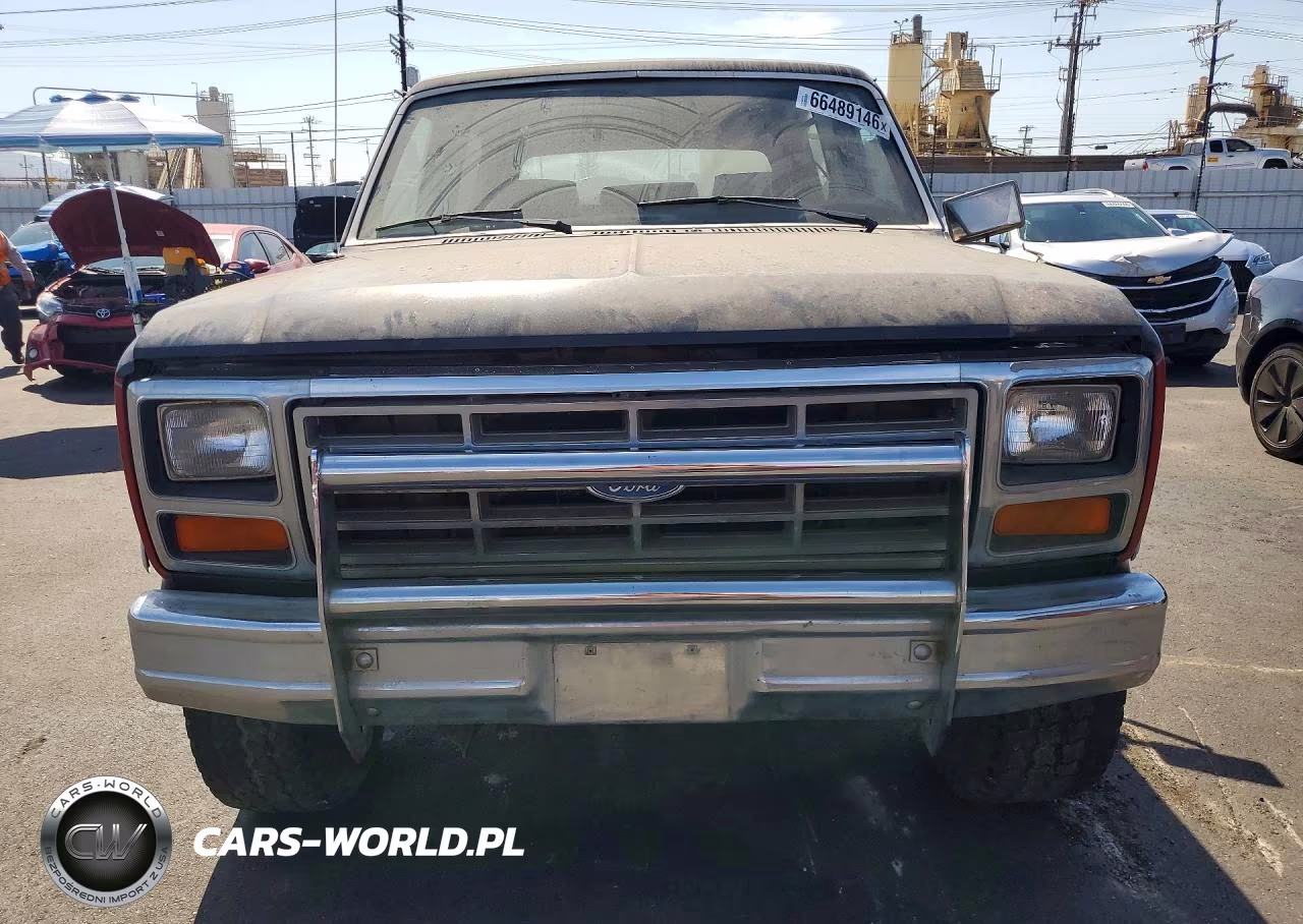 1982 Ford Bronco U100 VIN:1FMEU15G0CLA58520 - 5