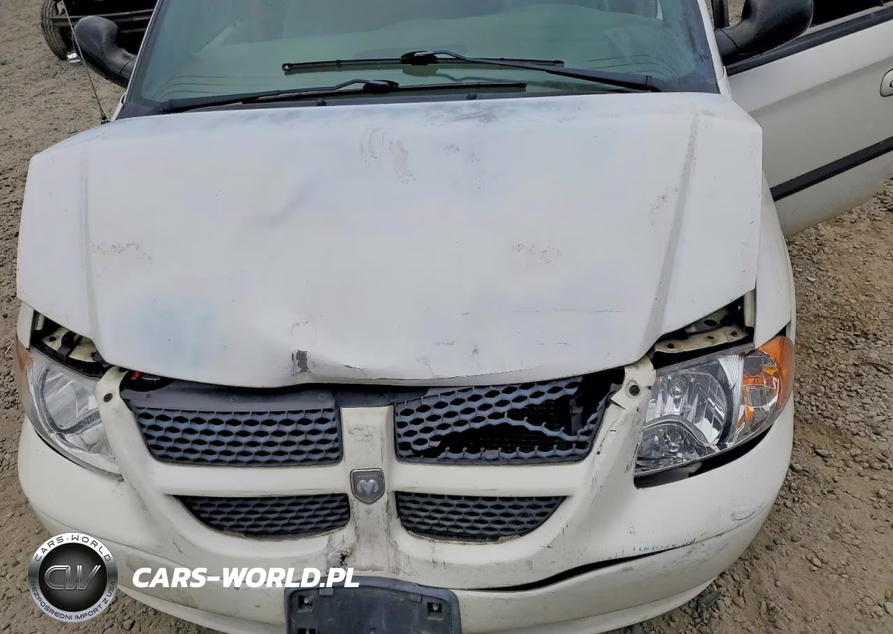 2003 Dodge Grand Caravan El VIN:2D8GP34L03R110901 - 12
