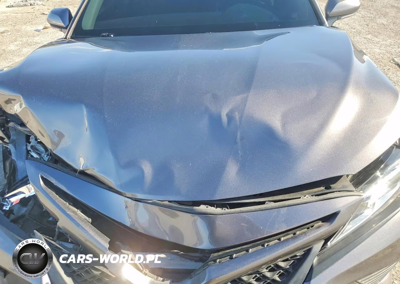 2020 Toyota Camry Se VIN:4T1M11AK6LU959609 - 11