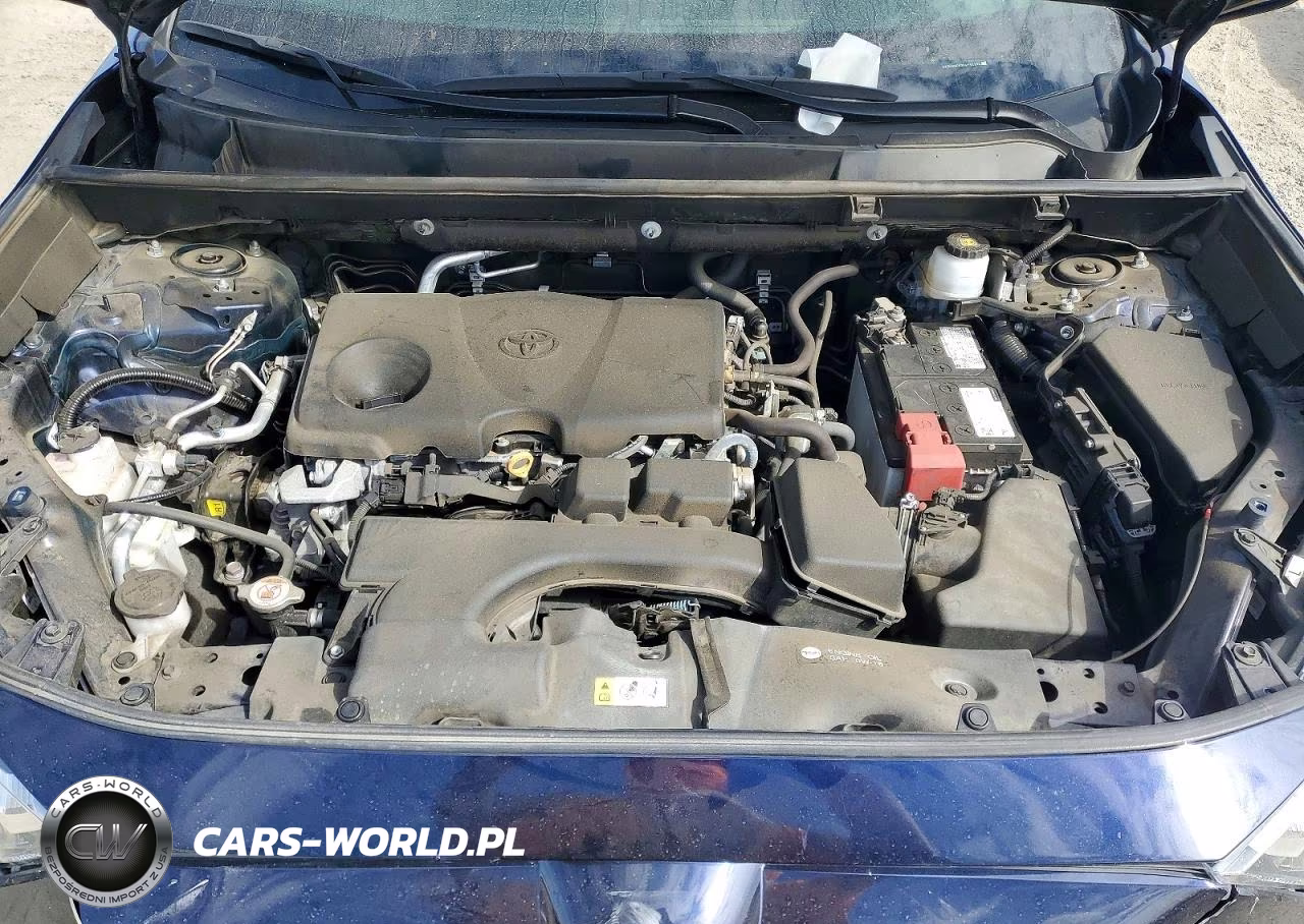 2023 Toyota Rav4 Xle VIN:2T3W1RFV0PW256739 - 12