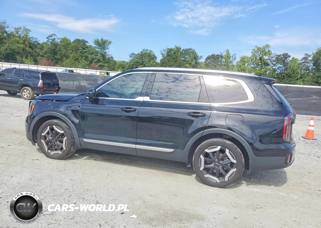 2024 Kia Telluride Ex VIN:5XYP3DGC3RG457325 - 2