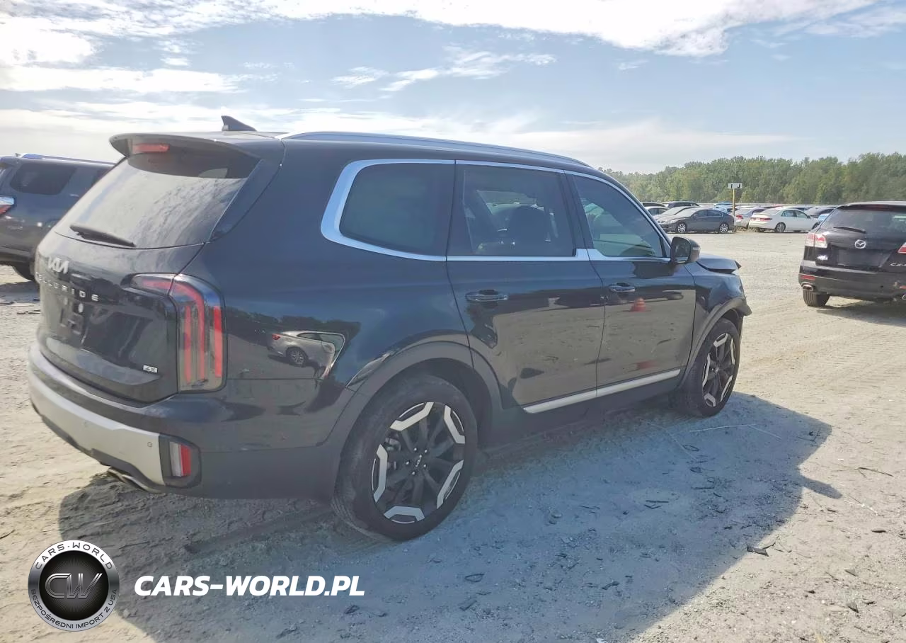 2024 Kia Telluride Ex VIN:5XYP3DGC3RG457325 - 3
