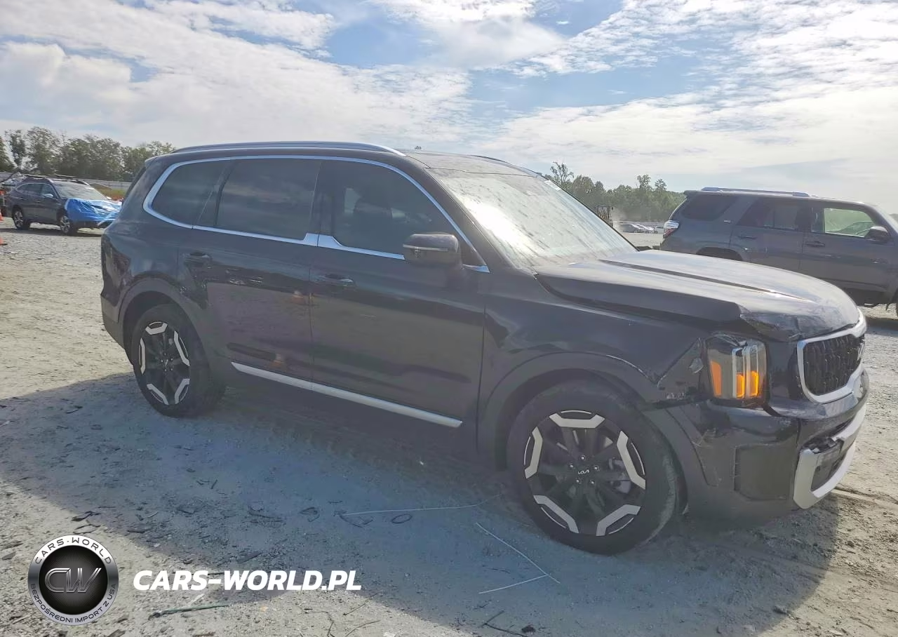 2024 Kia Telluride Ex VIN:5XYP3DGC3RG457325 - 4