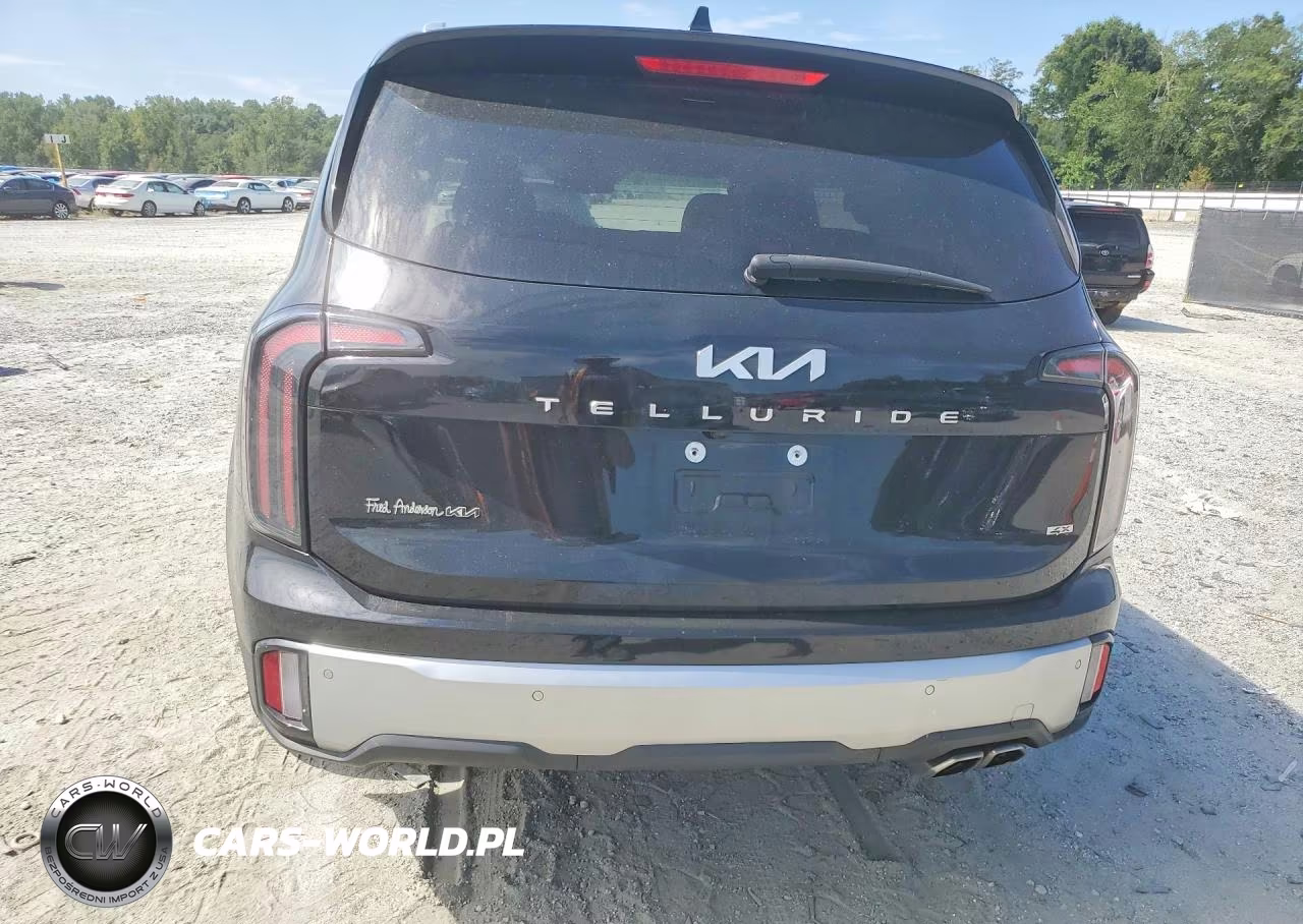 2024 Kia Telluride Ex VIN:5XYP3DGC3RG457325 - 6