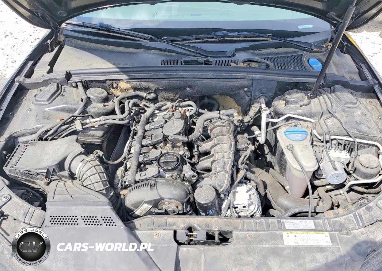 2011 Audi A5 Premium Plus VIN:WAULFAFR9BA032348 - 11
