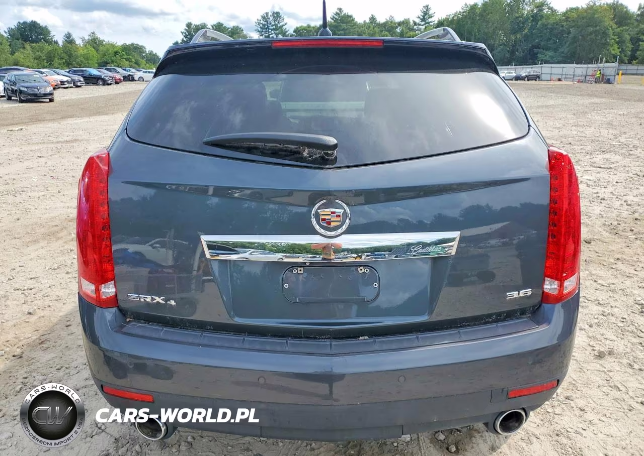 2013 Cadillac Srx Premium Collection VIN:3GYFNJE3XDS556295 - 6