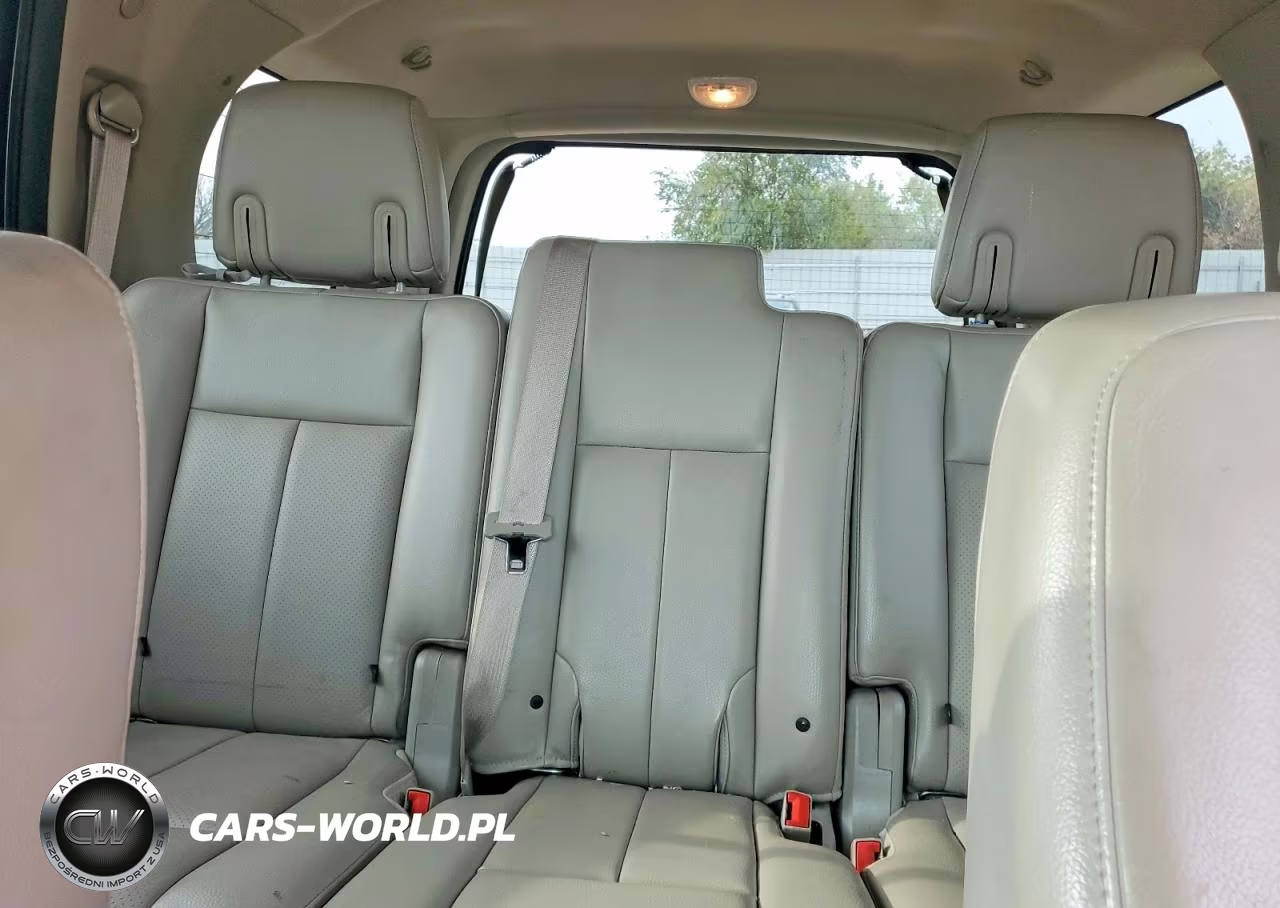 2009 Ford Expedition Limited VIN:1FMFU19589LA01990 - 10