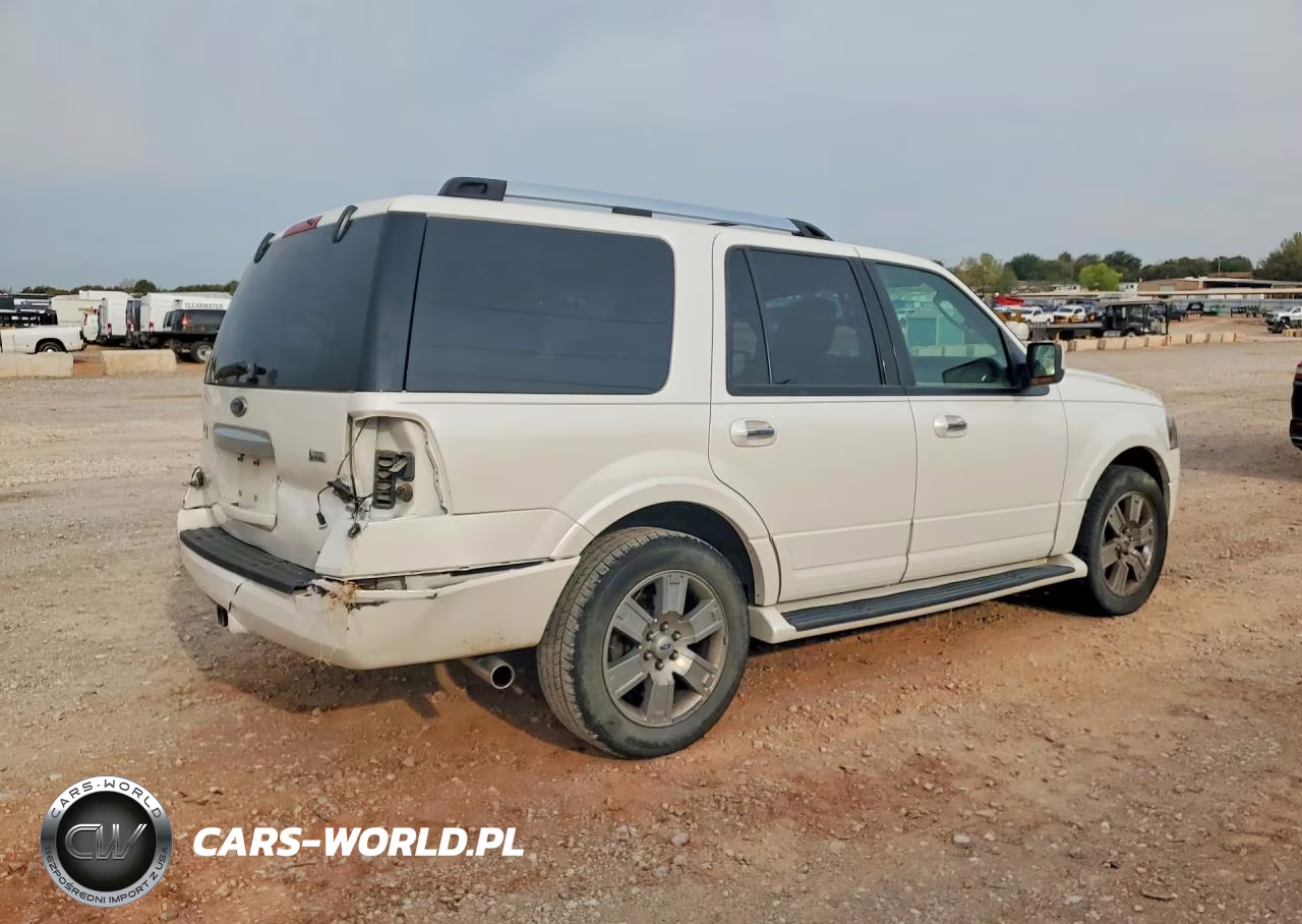 2009 Ford Expedition Limited VIN:1FMFU19589LA01990 - 3