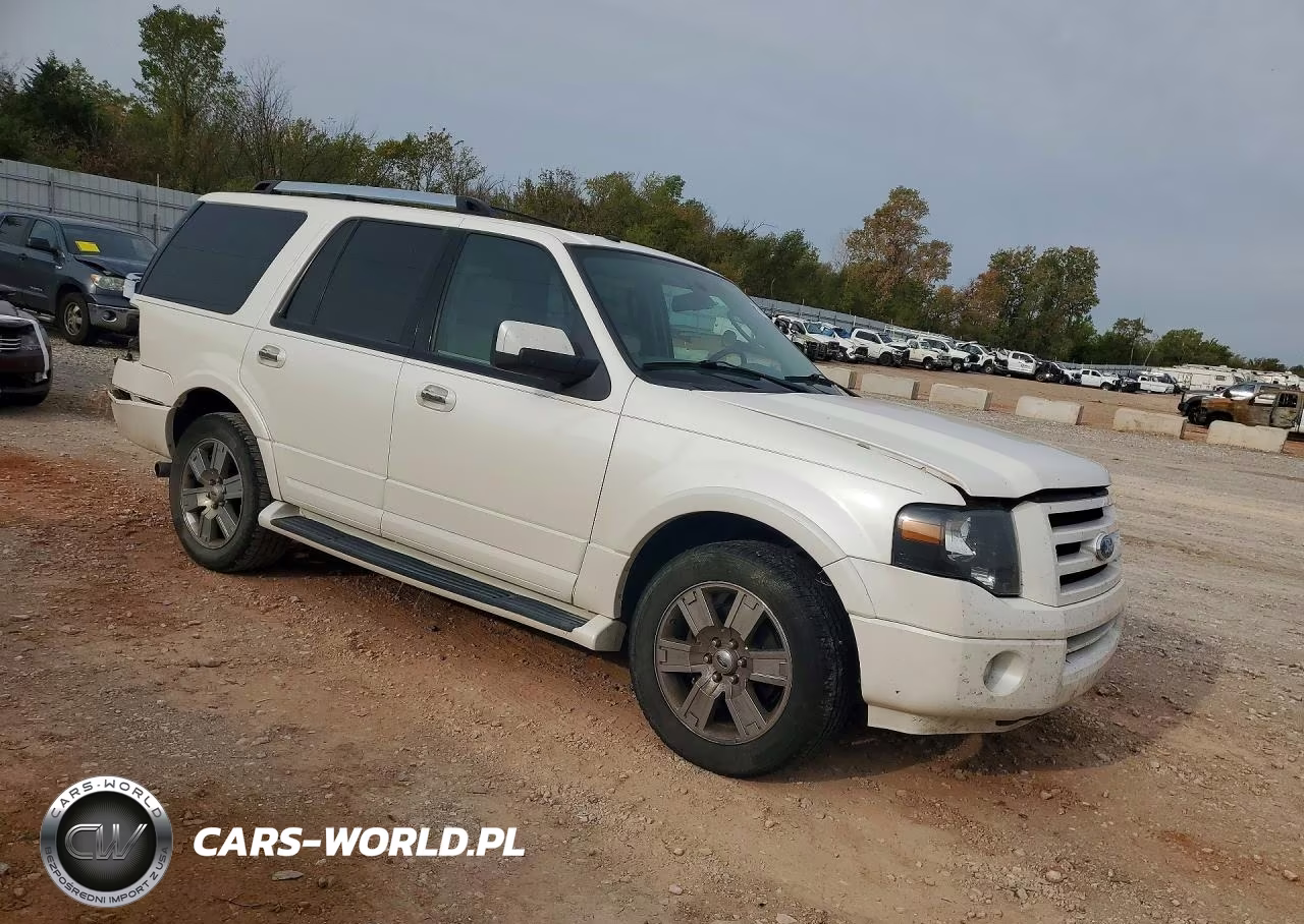 2009 Ford Expedition Limited VIN:1FMFU19589LA01990 - 4