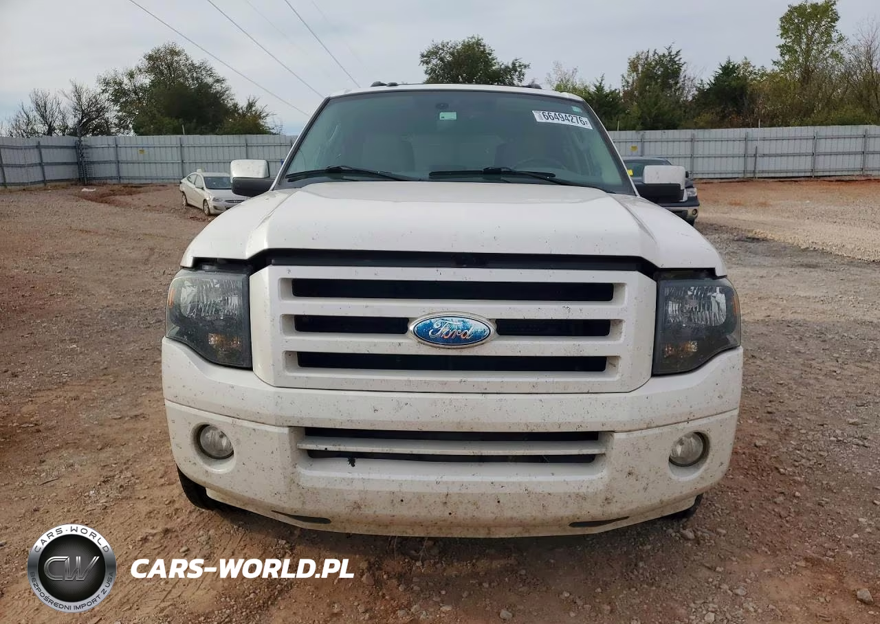 2009 Ford Expedition Limited VIN:1FMFU19589LA01990 - 5