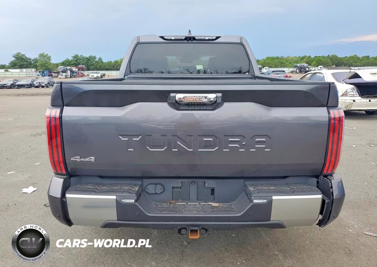 2024 Toyota Tundra Limited Hv VIN:5TFJC5DB0RX063057 - 6