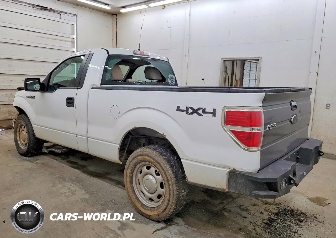 2009 Ford F150 VIN:1FTRF14869KB30653 - 2