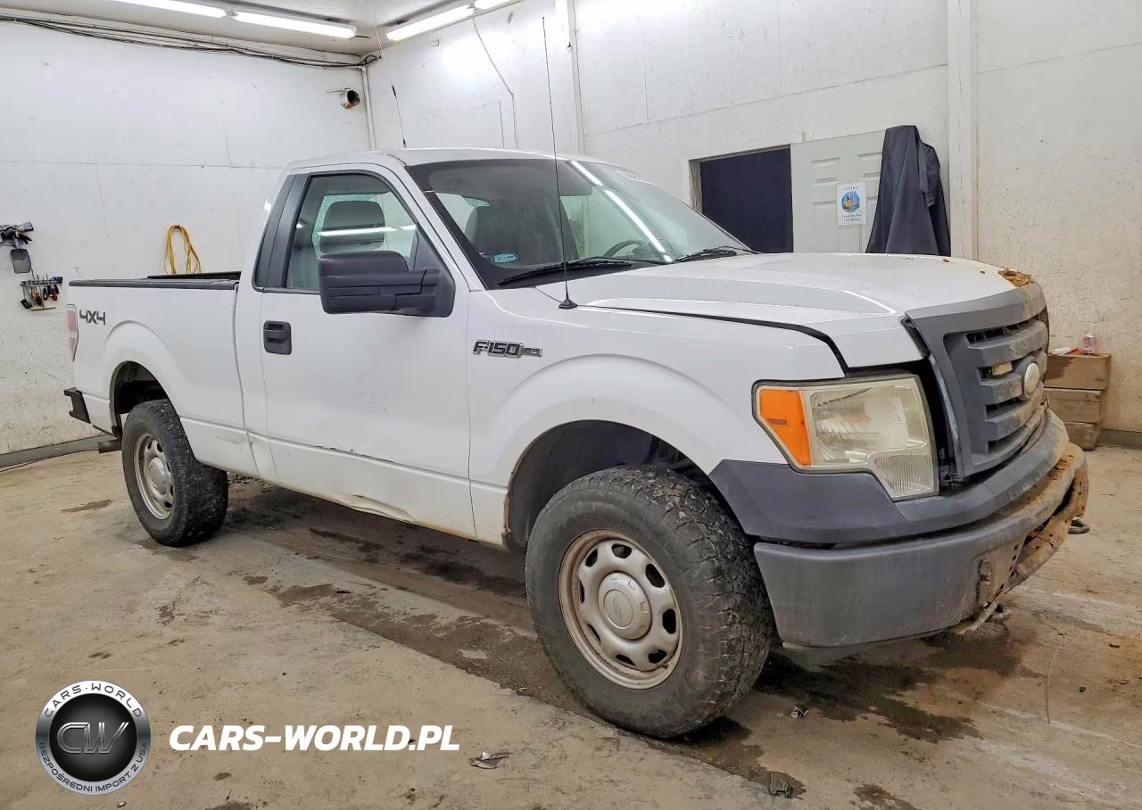 2009 Ford F150 VIN:1FTRF14869KB30653 - 4