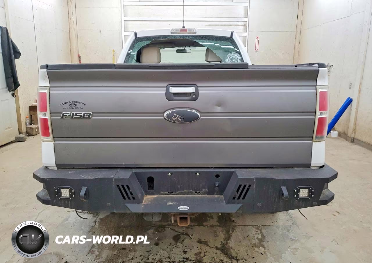 2009 Ford F150 VIN:1FTRF14869KB30653 - 6
