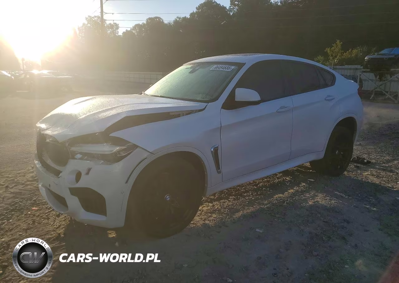 2019 BMW X6 M VIN:5YMKW8C53K0Y74897 - 1