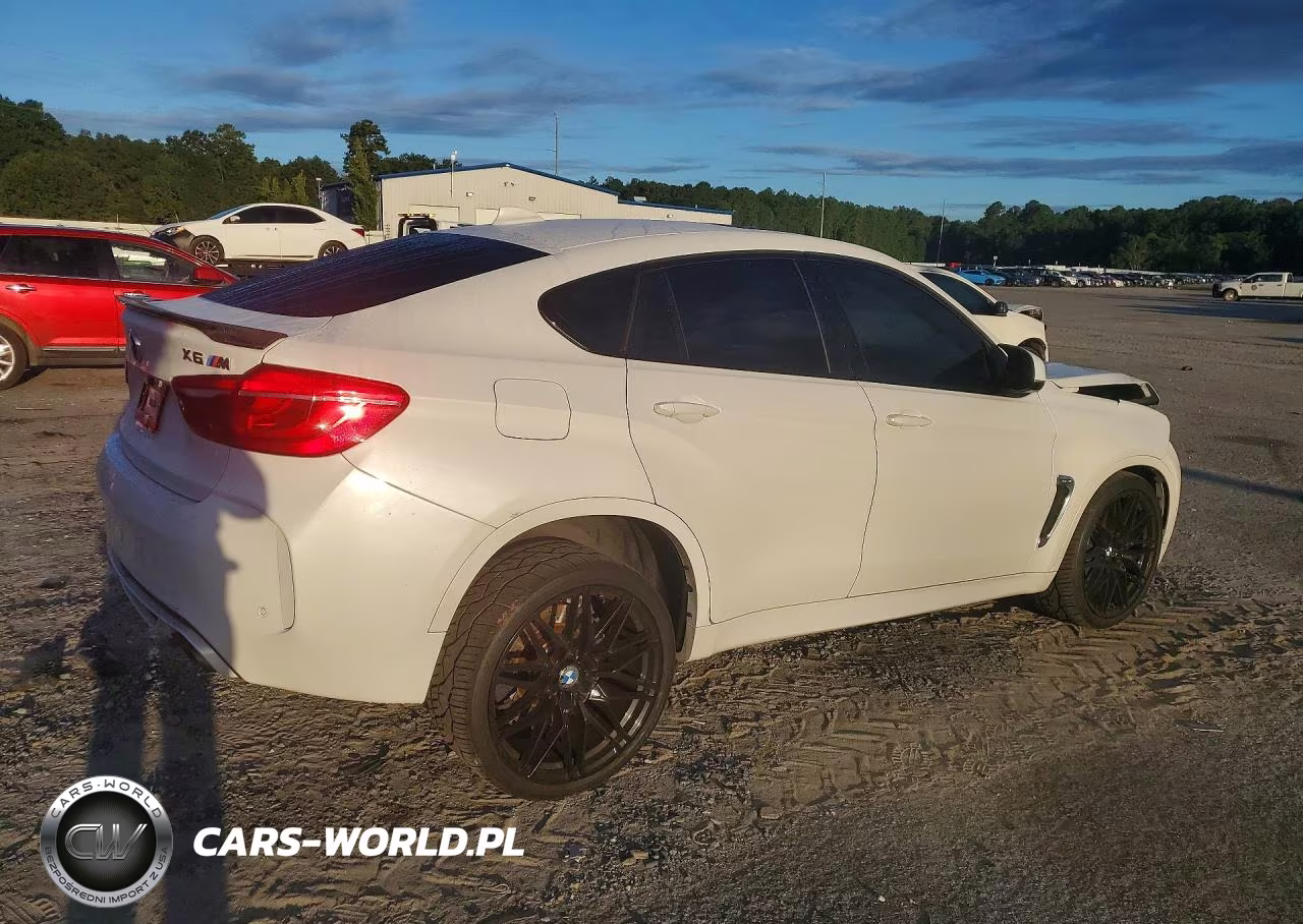 2019 BMW X6 M VIN:5YMKW8C53K0Y74897 - 3