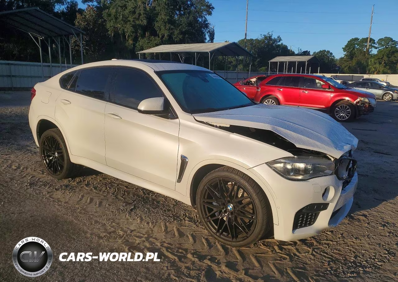 2019 BMW X6 M VIN:5YMKW8C53K0Y74897 - 4