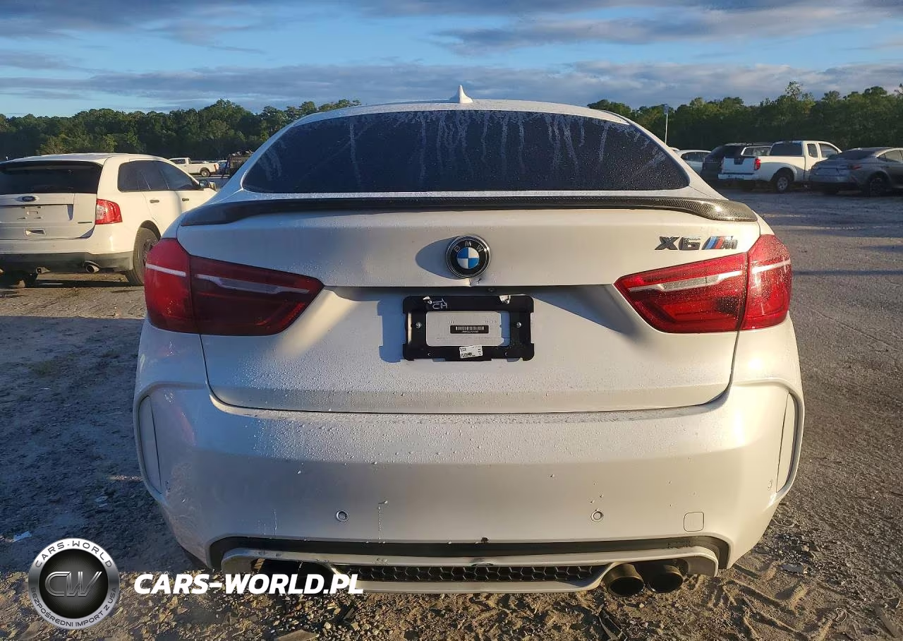 2019 BMW X6 M VIN:5YMKW8C53K0Y74897 - 6