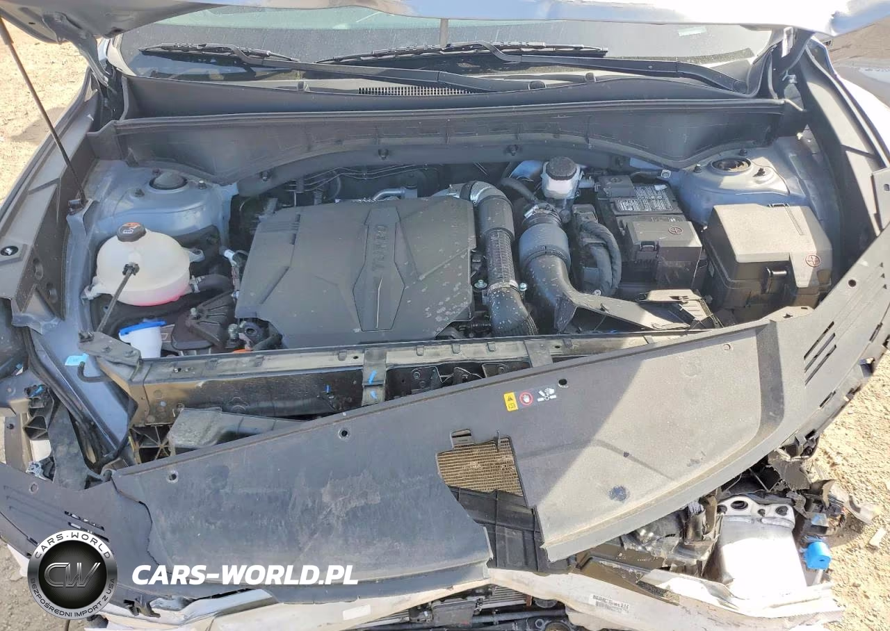 2023 Kia Sorento Sx VIN:5XYRKDLFXPG202566 - 12