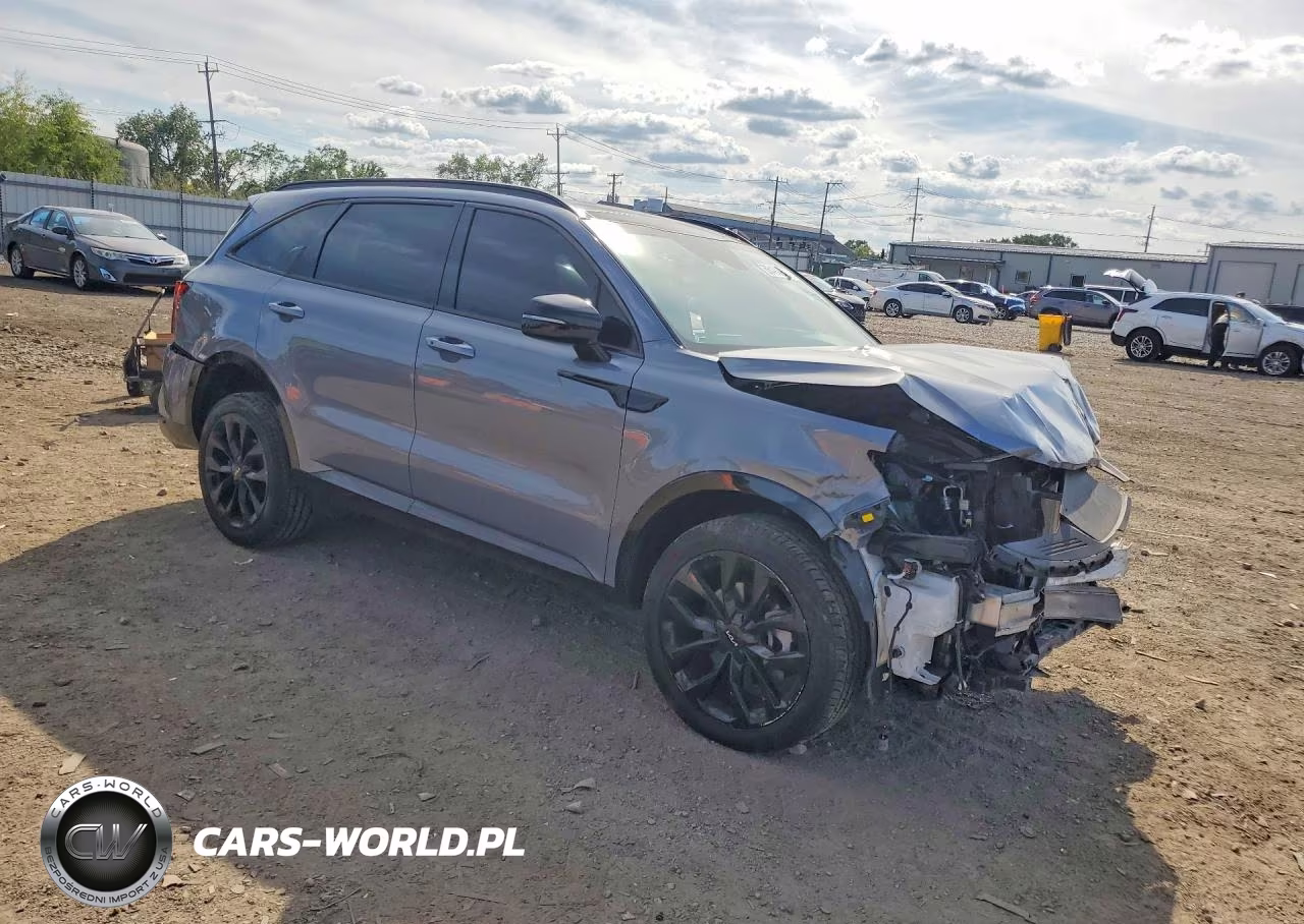 2023 Kia Sorento Sx VIN:5XYRKDLFXPG202566 - 4