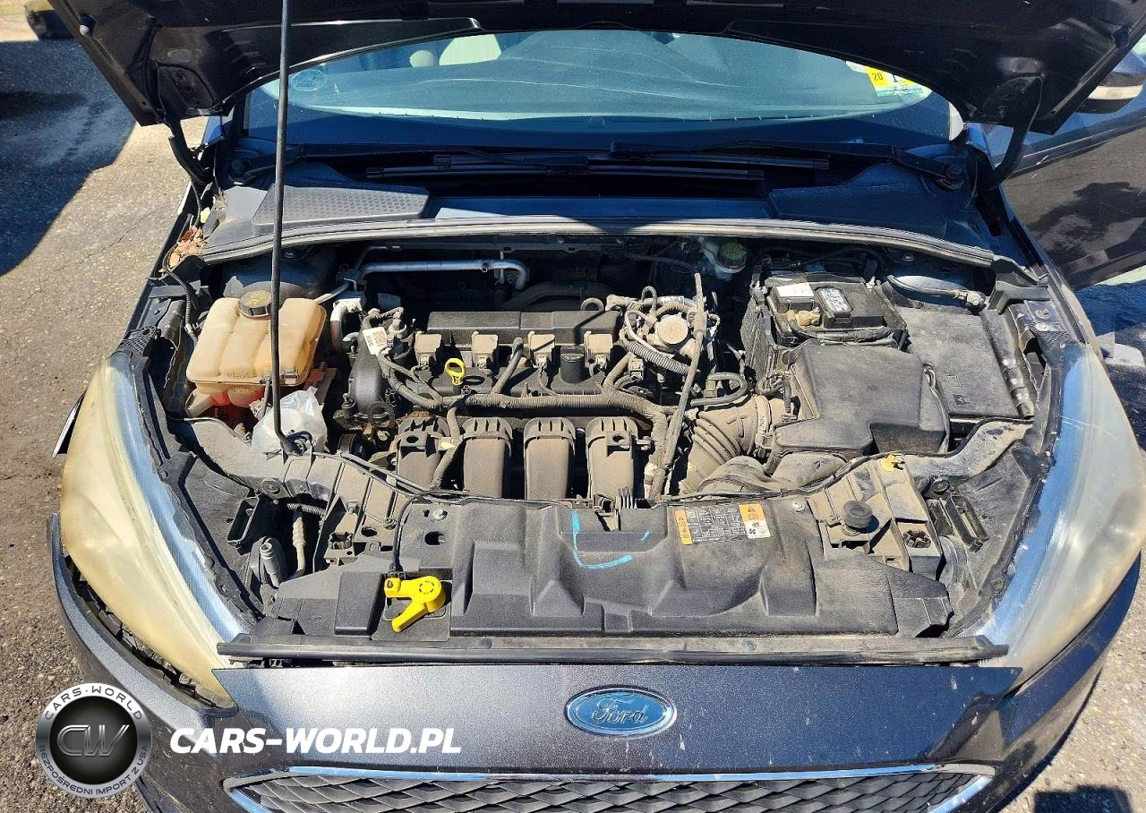 2016 Ford Focus Se VIN:1FADP3F20GL377417 - 11