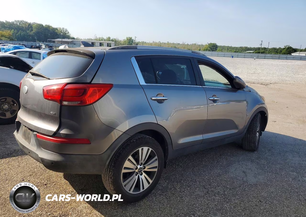 2014 Kia Sportage Ex VIN:KNDPC3AC9E7645129 - 3