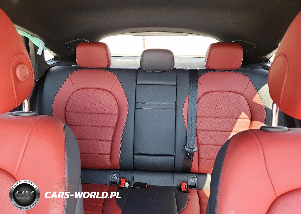 2023 Mercedes-Benz Glc Coupe 300 4Matic VIN:W1N0J8EB2PG160803 - 10