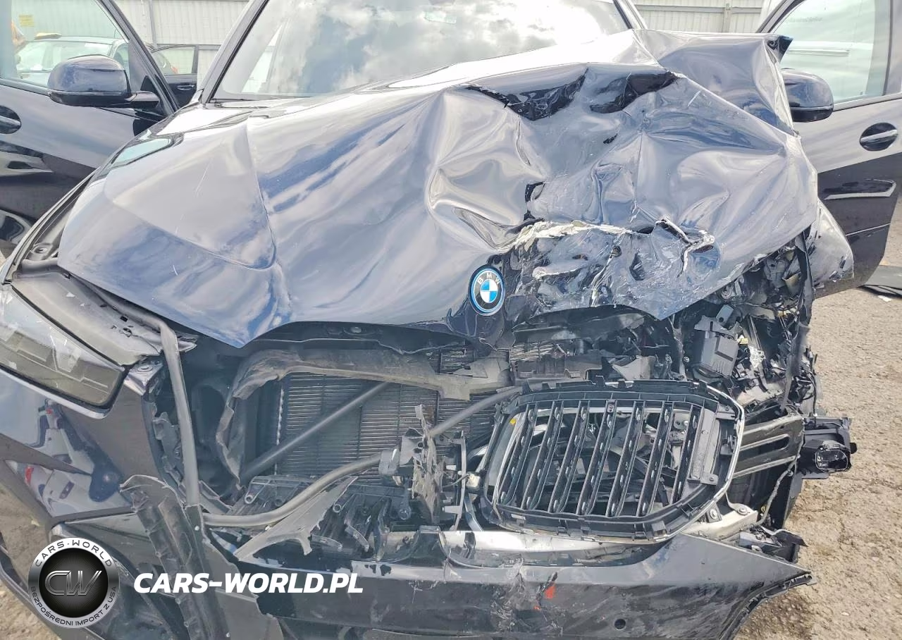 2024 BMW X5 xDrive50E VIN:5UX43EU09R9S67032 - 12