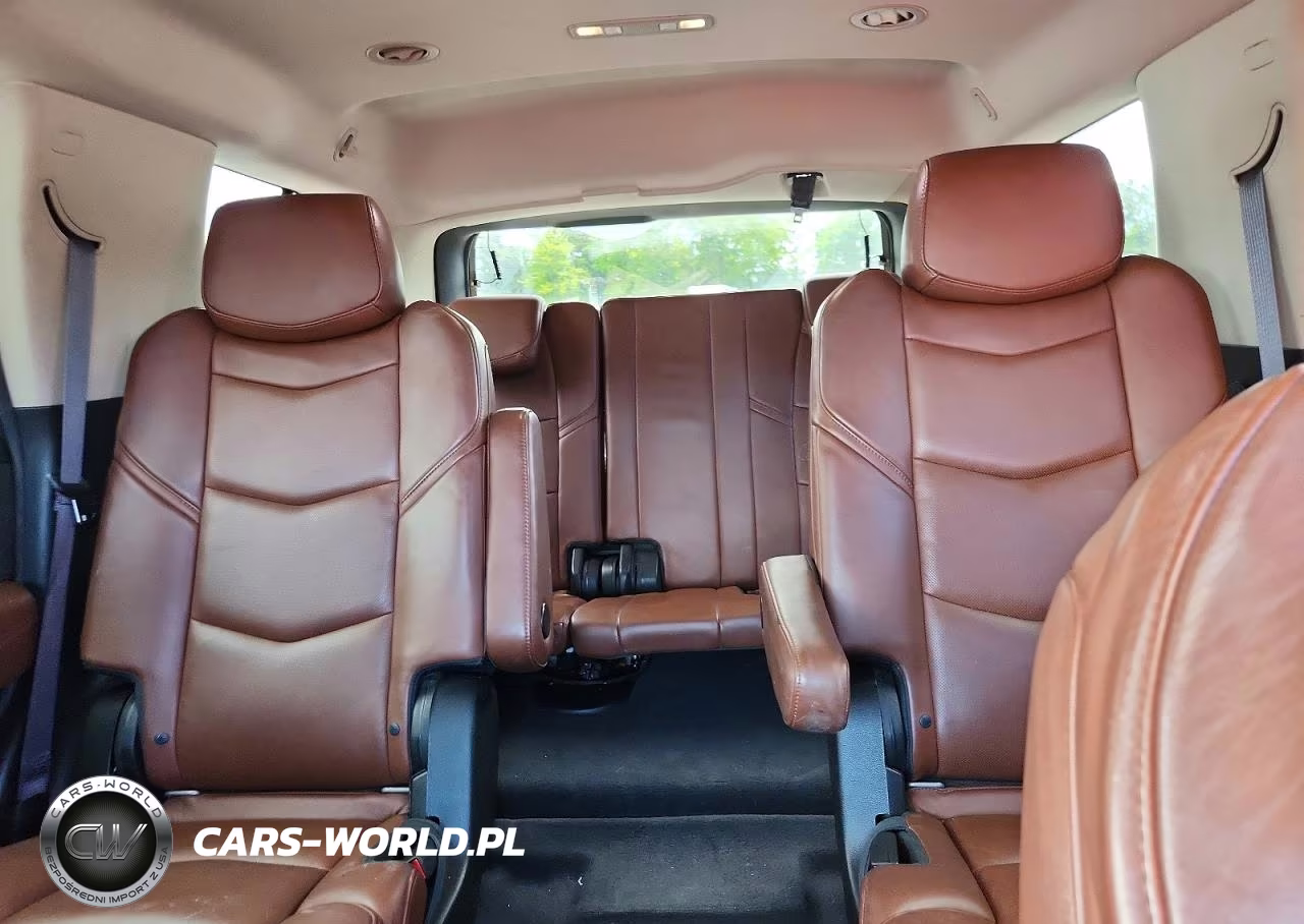2015 Cadillac Escalade Premium VIN:1GYS4NKJ6FR513896 - 10