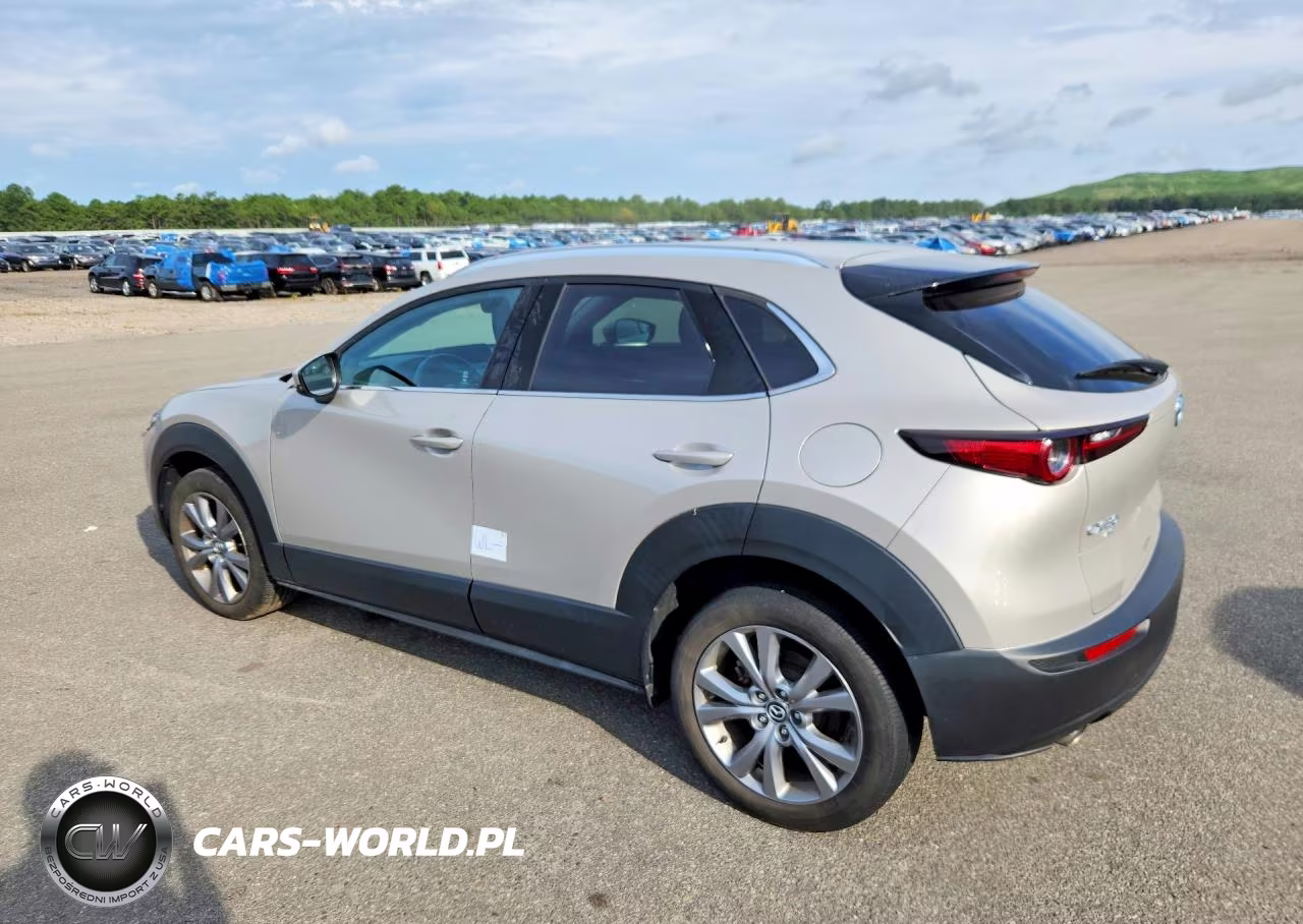 2023 Mazda Cx-30 Premium VIN:3MVDMBDM6PM511698 - 2