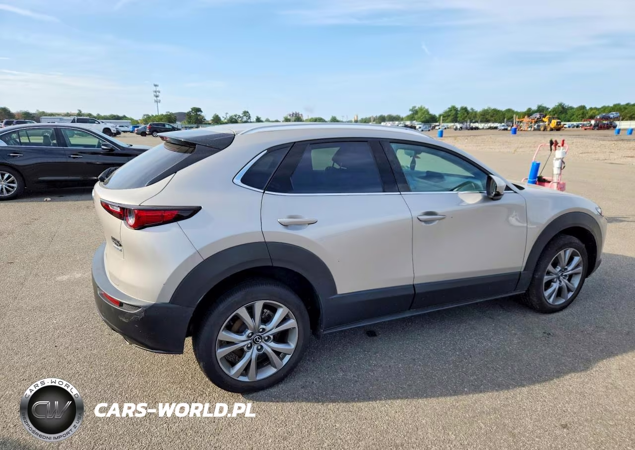 2023 Mazda Cx-30 Premium VIN:3MVDMBDM6PM511698 - 3