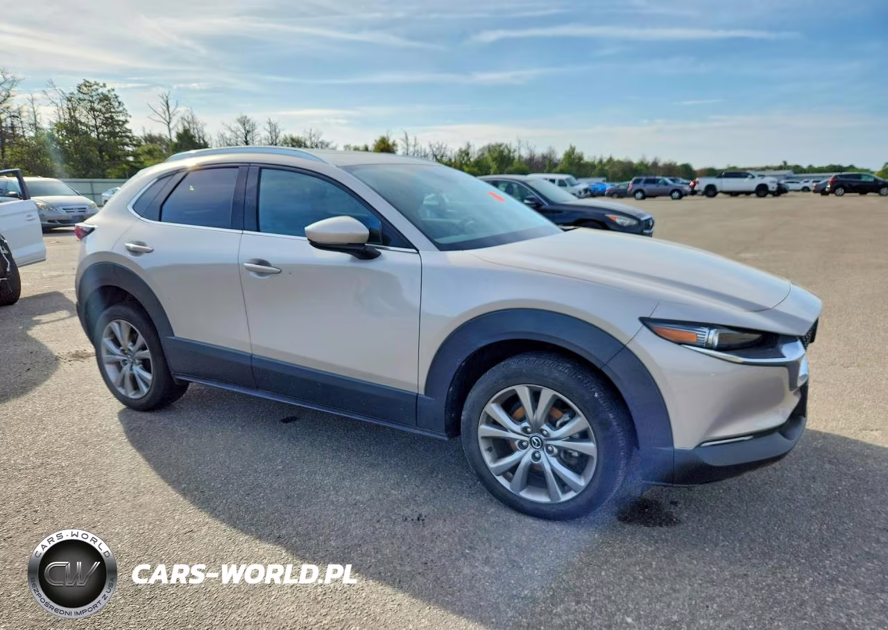 2023 Mazda Cx-30 Premium VIN:3MVDMBDM6PM511698 - 4