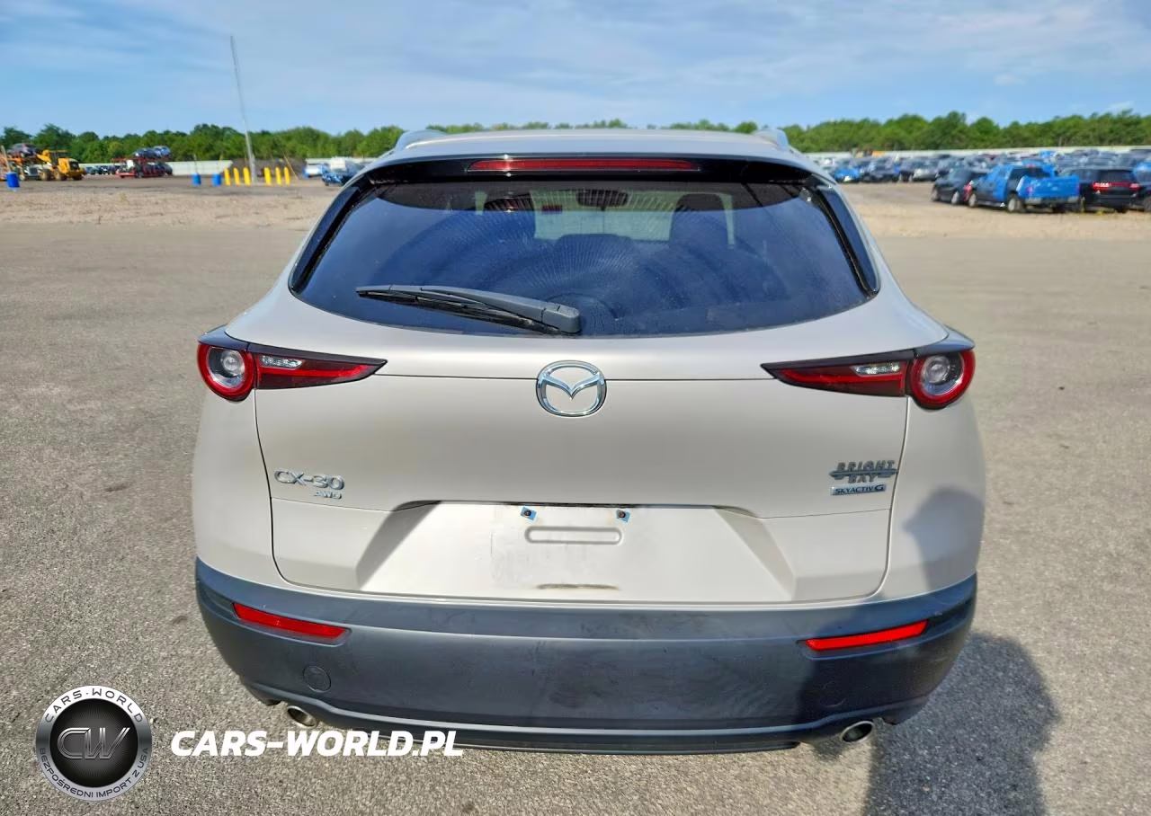 2023 Mazda Cx-30 Premium VIN:3MVDMBDM6PM511698 - 6