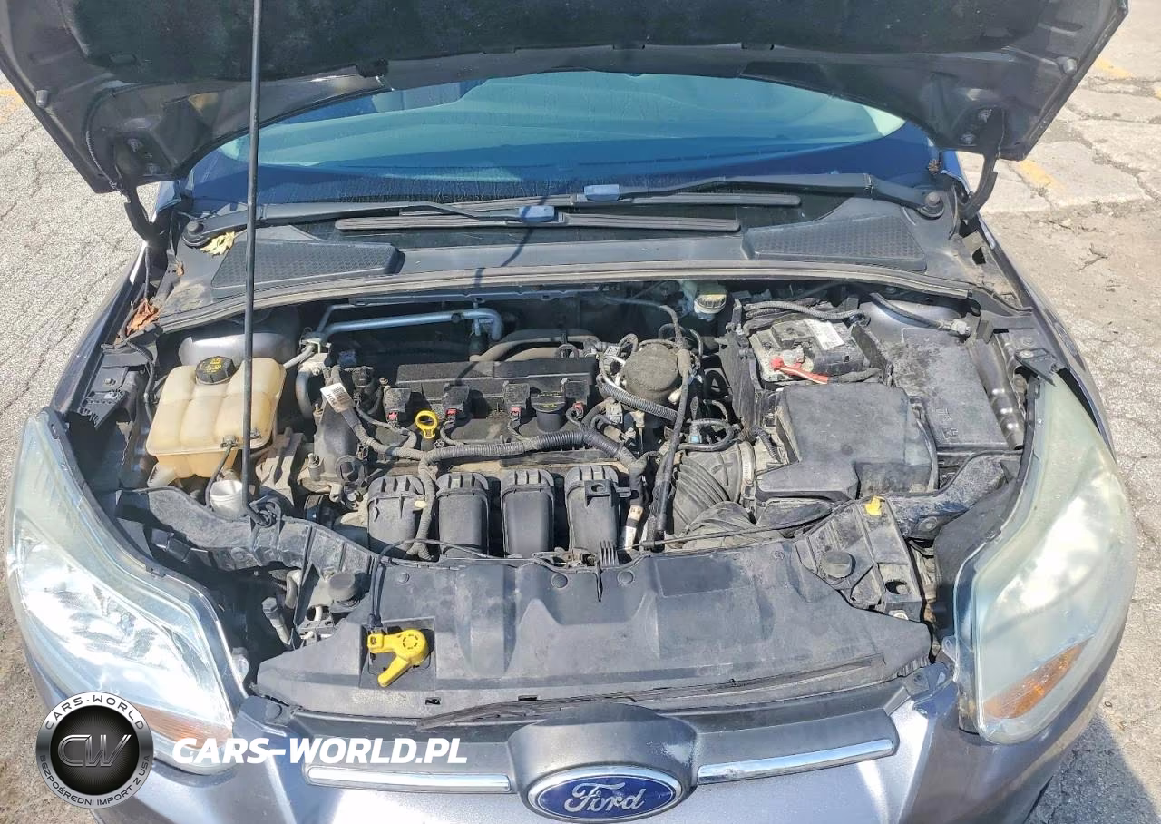 2014 Ford Focus Se VIN:1FADP3F29EL336863 - 11