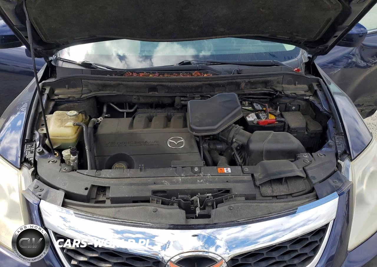 2012 Mazda Cx-9 VIN:JM3TB3CV6C0339566 - 12