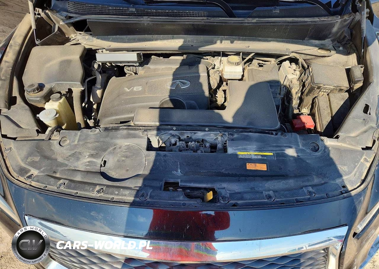 2020 Infiniti Qx60 Pure VIN:5N1DL0MMXLC534918 - 12