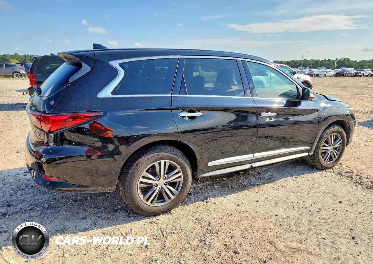 2020 Infiniti Qx60 Pure VIN:5N1DL0MMXLC534918 - 3