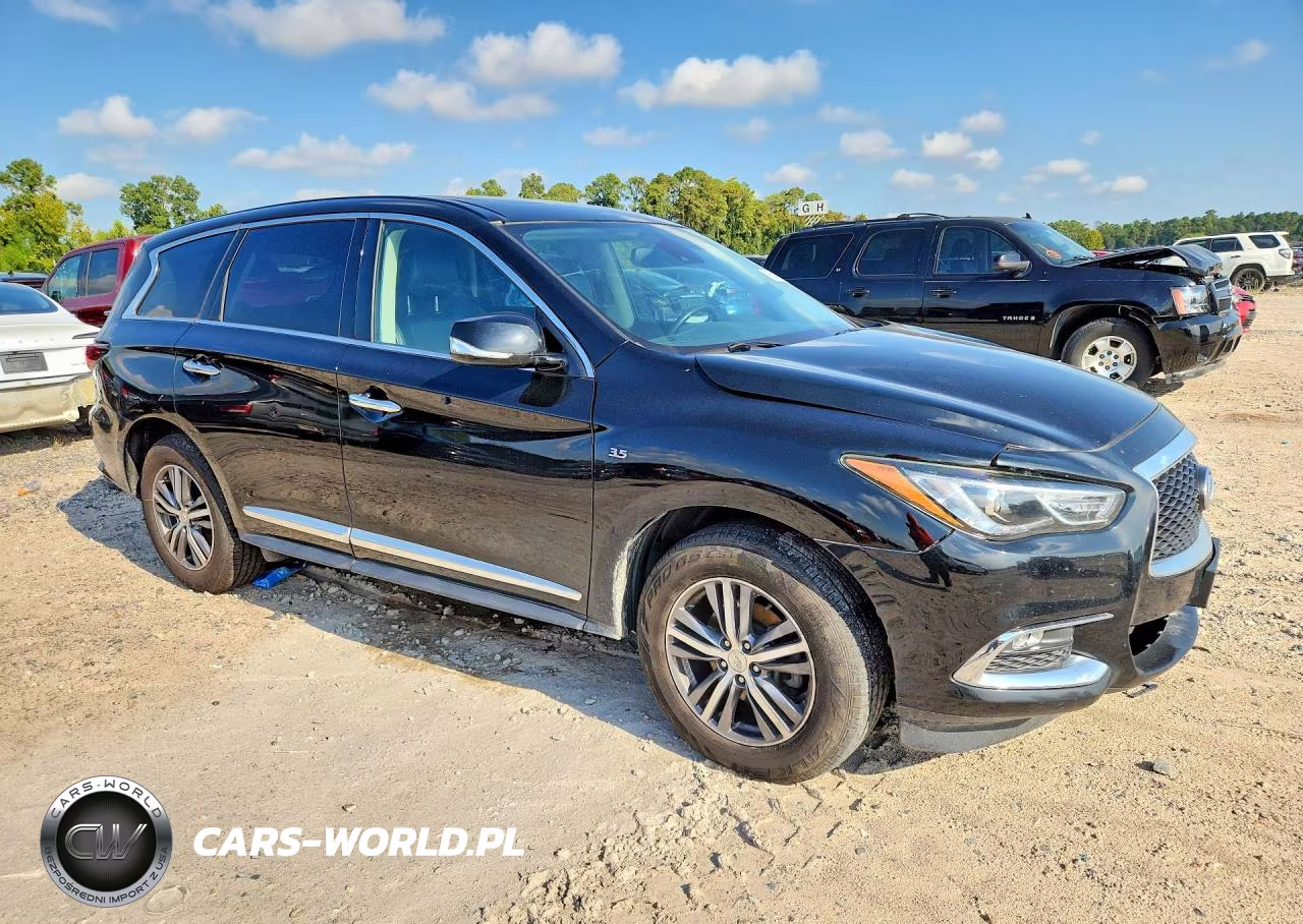 2020 Infiniti Qx60 Pure VIN:5N1DL0MMXLC534918 - 4