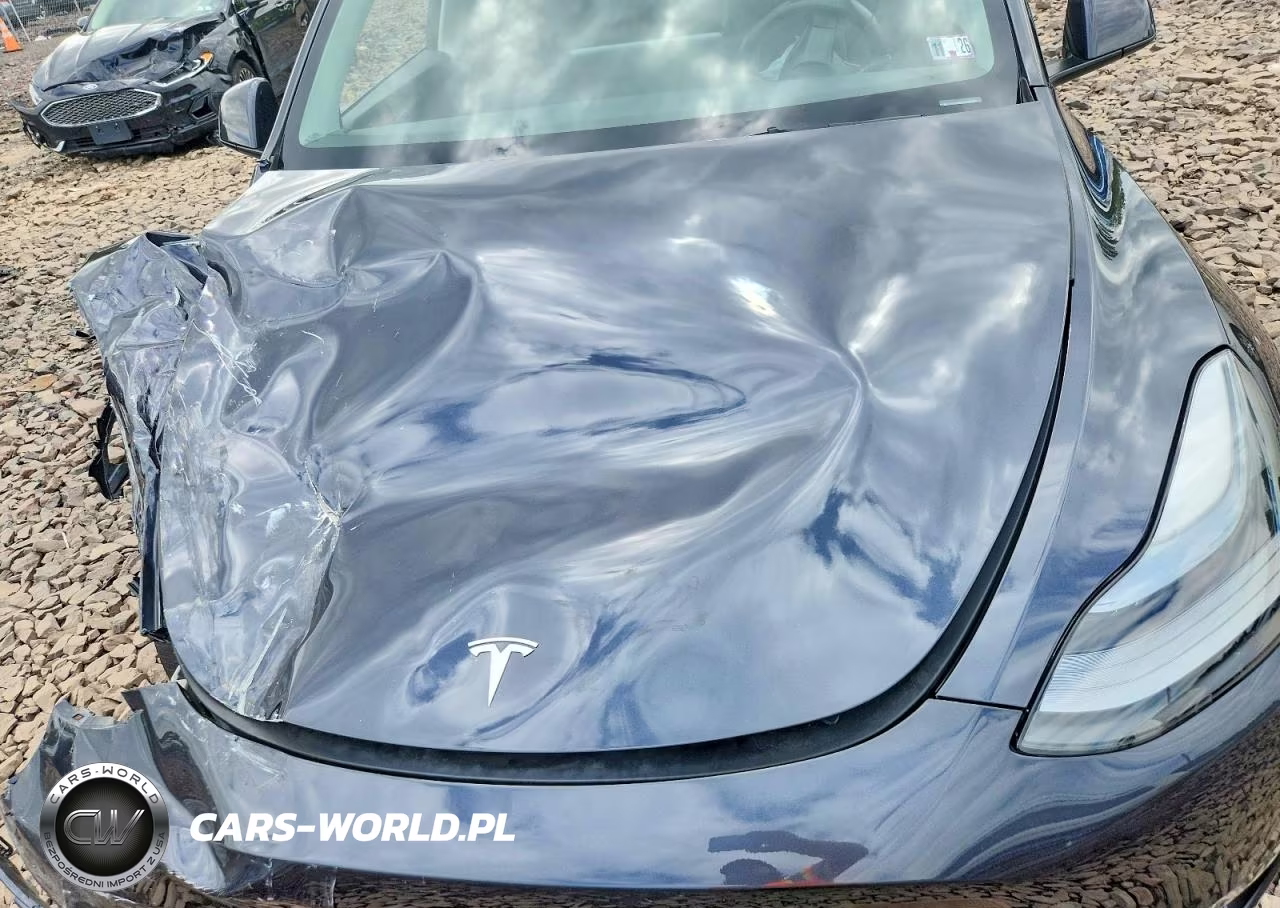 2025 Tesla Model Y VIN:7SAYGDEE9SA339760 - 12