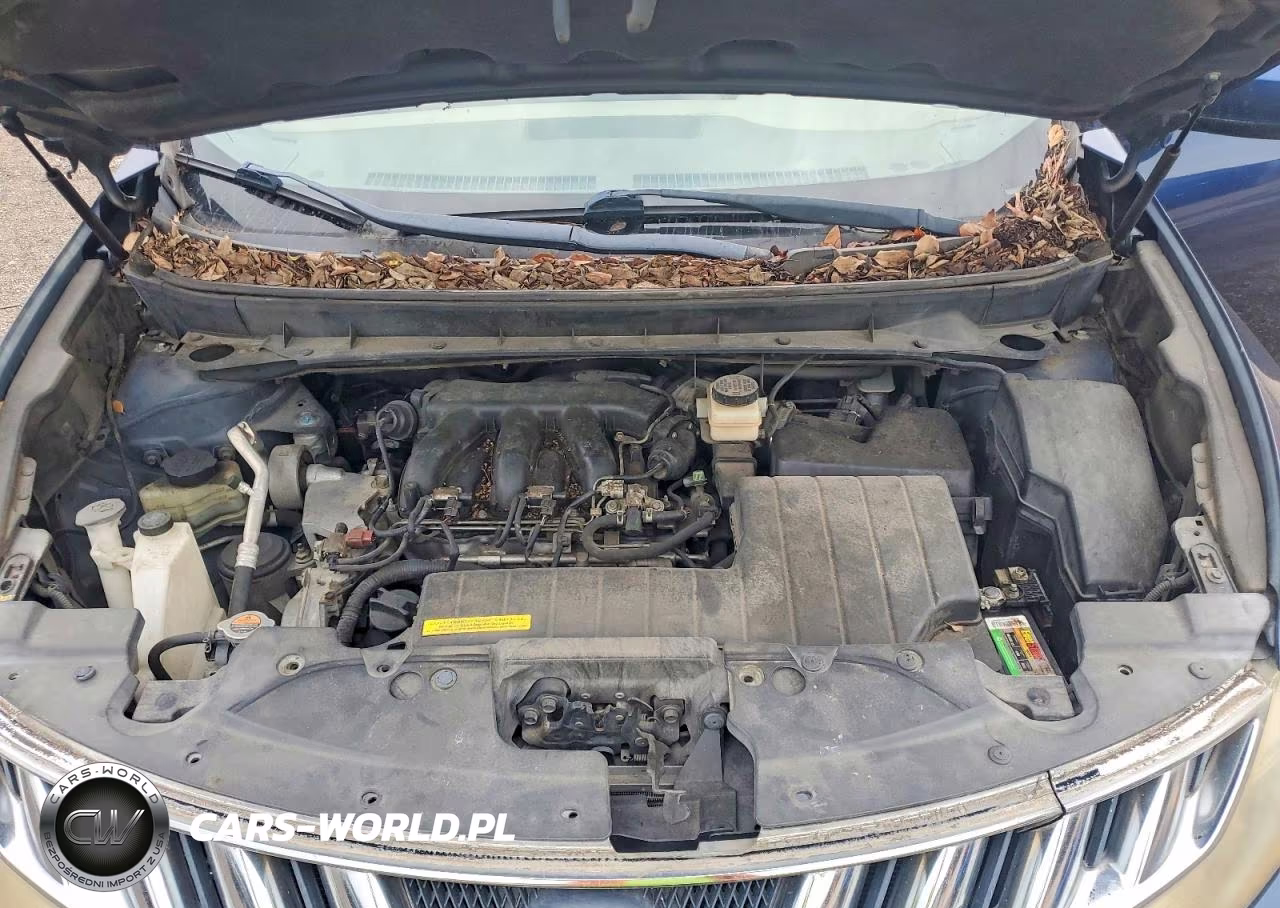 2010 Nissan Murano S VIN:JN8AZ1MU6AW008037 - 12