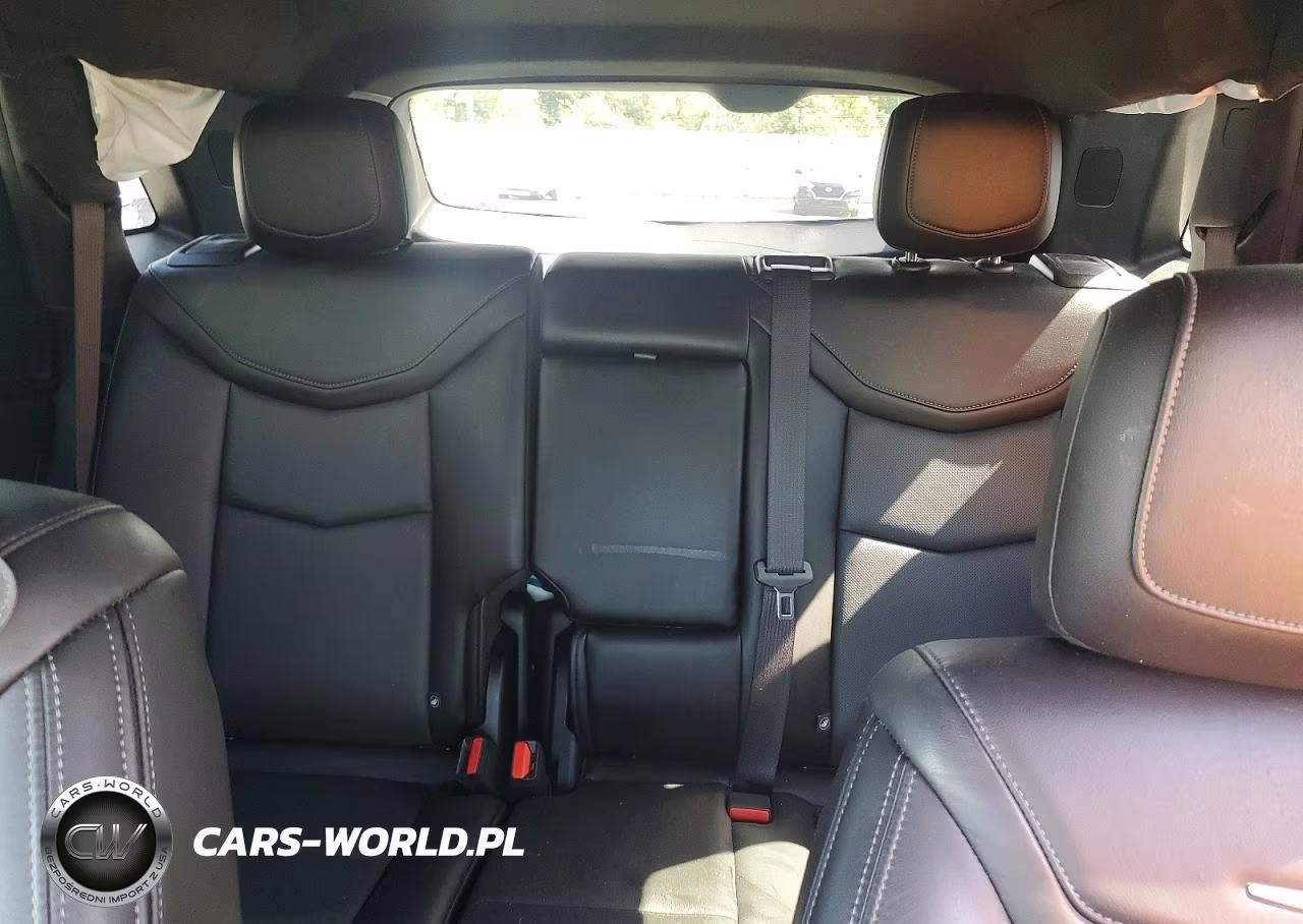 2021 Cadillac Xt5 Premium Luxury VIN:1GYKNDRS9MZ231383 - 10