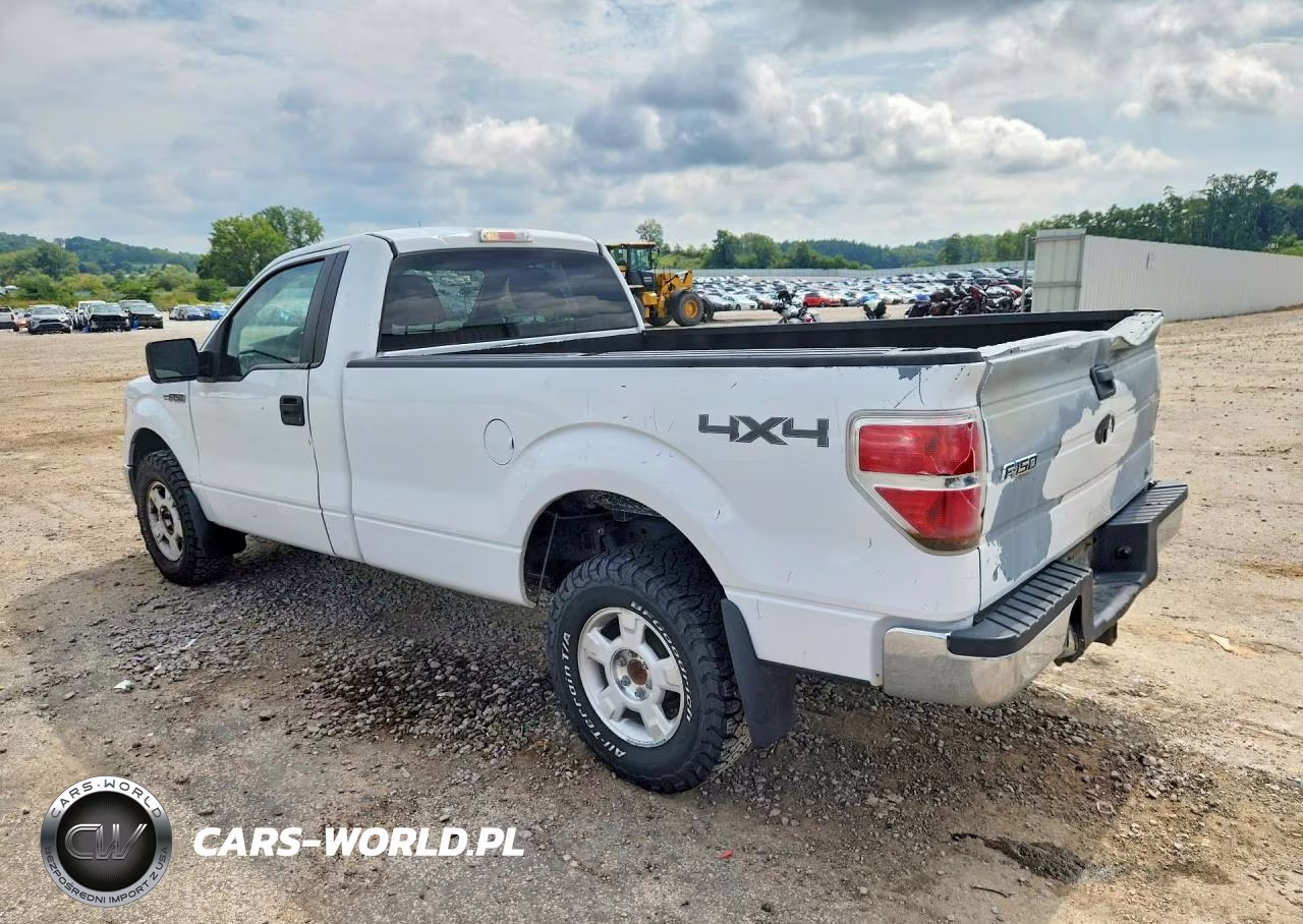 2010 Ford F150 VIN:1FTNF1EV3AKE32005 - 2