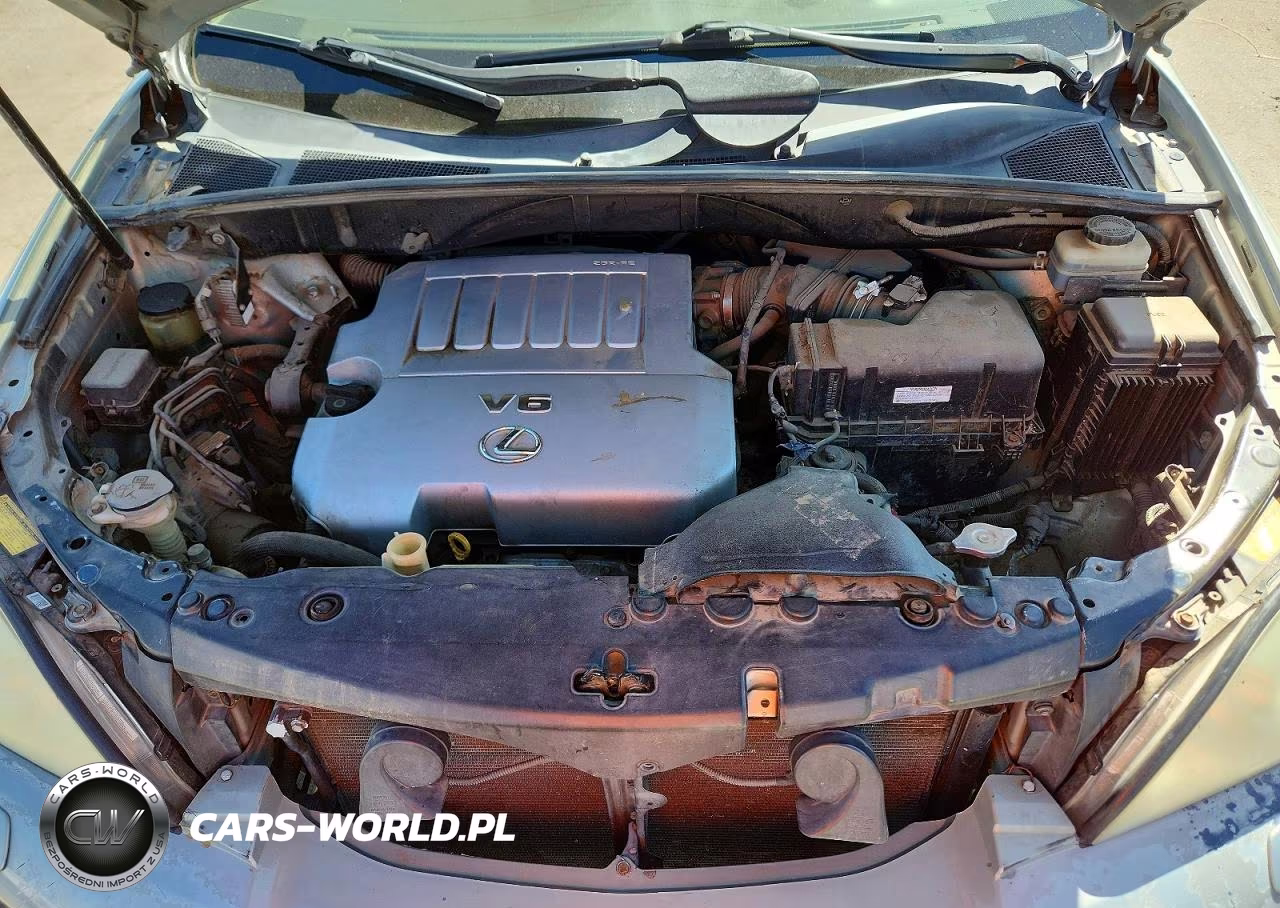 2007 Lexus Rx 350 VIN:JTJGK31U470010257 - 11