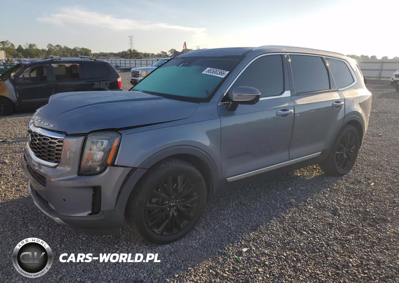 2020 Kia Telluride Sx VIN:5XYP54HC4LG035354 - 1