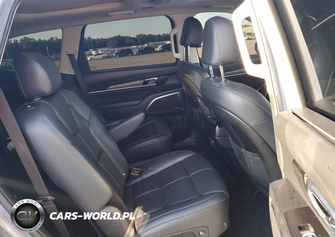 2020 Kia Telluride Sx VIN:5XYP54HC4LG035354 - 11